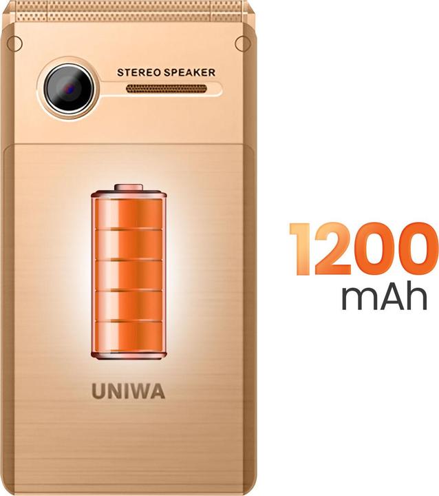 Actual product image Avizar Klapphandy mit 2 Bildschirmen Akku 1200mAh Dual-SIM (2.80")