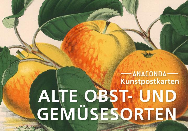 Produktbild Postkarten-Set Alte Obst- und Gemüsesorten (20 Stk.)