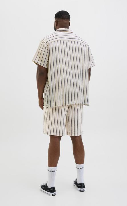 Actual product image Jack & Jones Jpstjaiden Coba Stripe Jog Short Sn Pls (48)