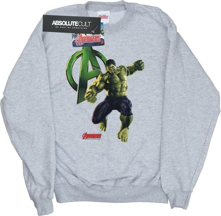 Hulk Pose Sweatshirt Jungen (140, 146)