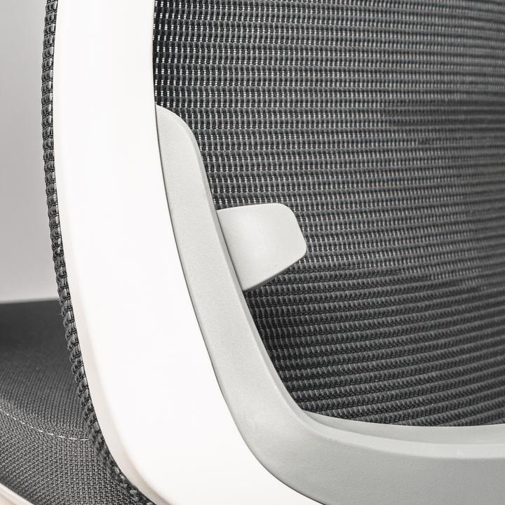 Actual product image ofinto Ergo