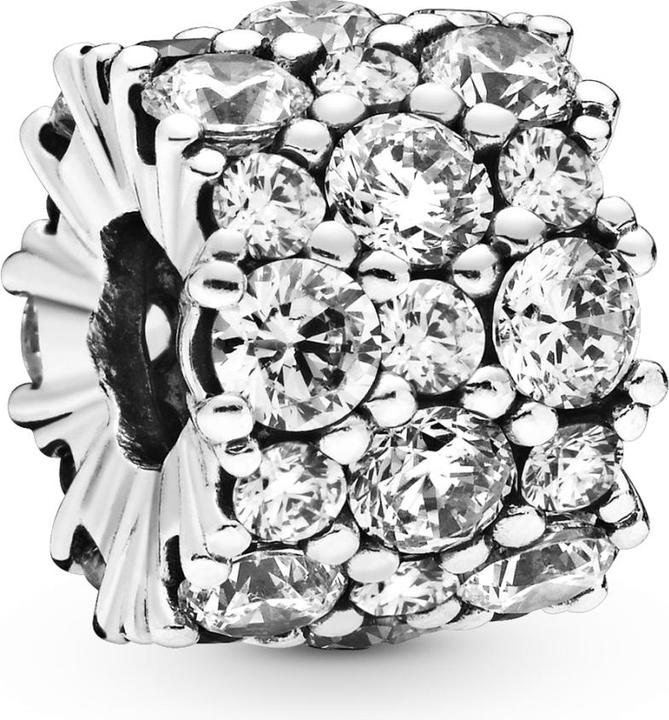 Pandora Charm (Sterling-Silber)