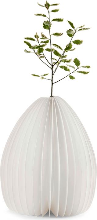 Image du produit Gingko Vase lumineux
