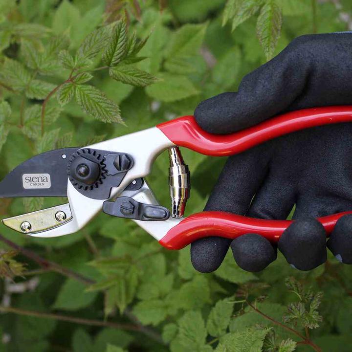 Actual product image Siena Garden pruning shears