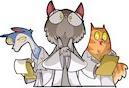 Produktbild Gigamic Les chats de Schrodinger (f) (Französisch)