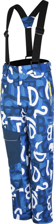 Actual product image Dare2b Childrens/Kids Pow Graffiti Ski Trousers (170)