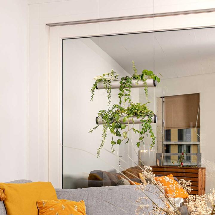 Immagine prodotto Pendularis Set 0,5 Royal (50 cm)