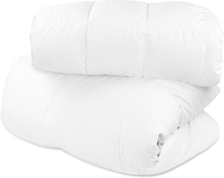 Produktbild Aspero Winter Daunendecke 2-teilig (840 g, 135 x 200 cm)