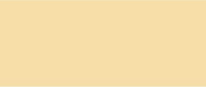 Image du produit Solo Goya Acrylique Triton (Beige, 750 ml)