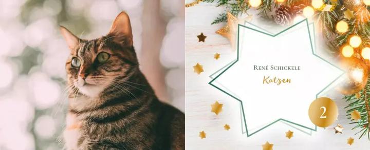 Produktbild Katzengeschichten