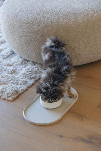 Actual product image Designed by Lotte Lojs dog bowl (0.43 l)
