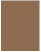 Produktbild Rimmel London RIMMEL Wonder Last Brow Tint tusz do brwi 002 Soft Brown 4,5ml (002 Soft Brown)