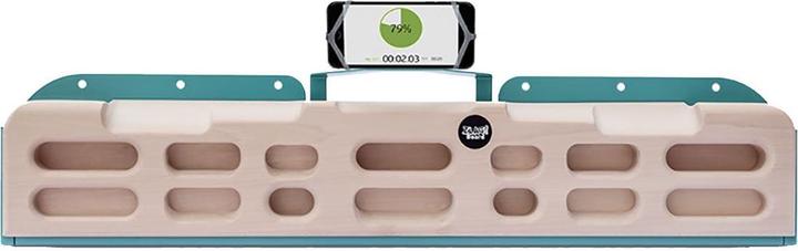 Zlagboard Evo training board