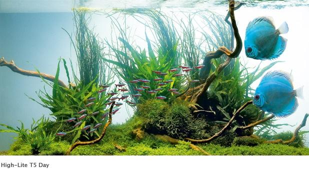 Image du produit Juwel Aquarium Tube fluorescent HL T5 Day (Tube fluorescent, 28 W)
