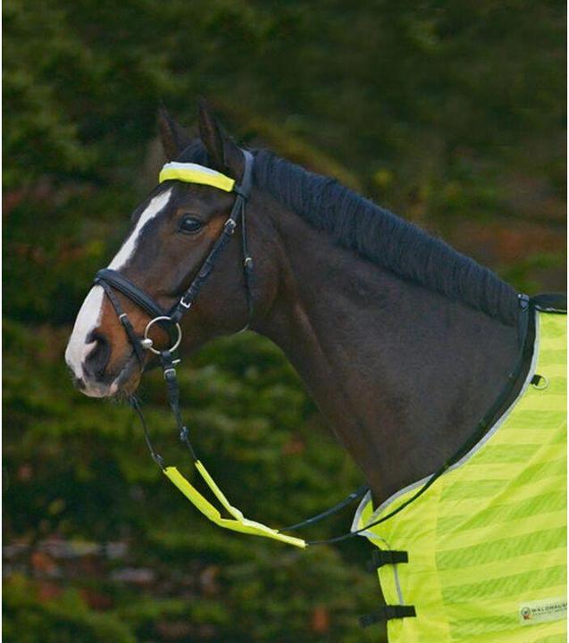Actual product image Waldhausen Reflex Snaffle Set