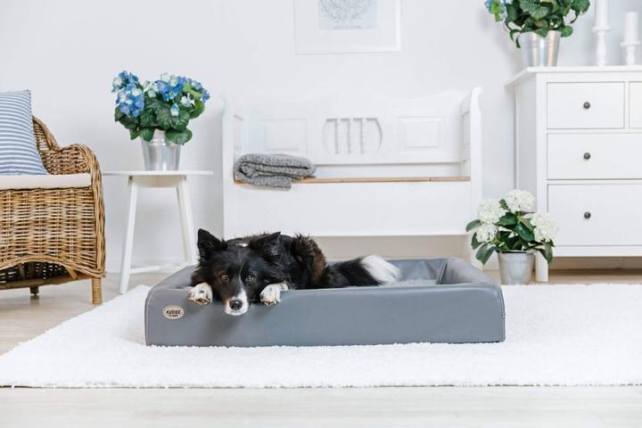 Produktbild Sabro Kudde (Hund)