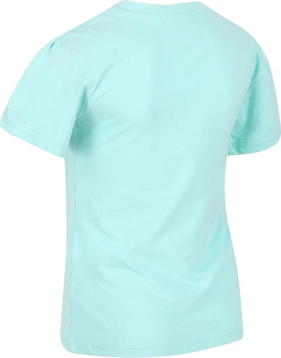 Produktbild Regatta Bosley V TShirt (128)