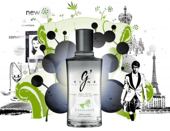 Image du produit Euro Wine Gate G'Vine Nouaison (1 x 70 cl)