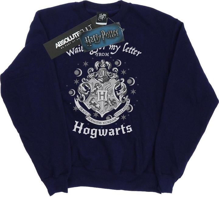Hogwarts Waiting For My Letter Sweatshirt (L)