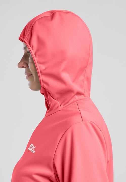 Actual product image Jack Wolfskin Feldberg Hoody W (S)