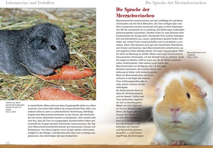 Actual product image Meerschweinchen (German, Christian Koch)
