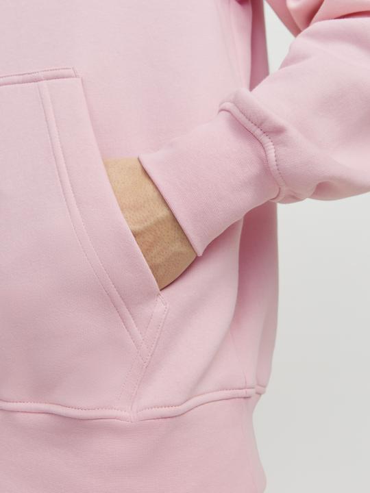 Image du produit Jack & Jones Jorvesterbro Sweat Hood Noos (XXL)