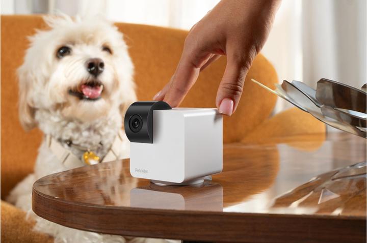 Image du produit Petcube Cam 360
