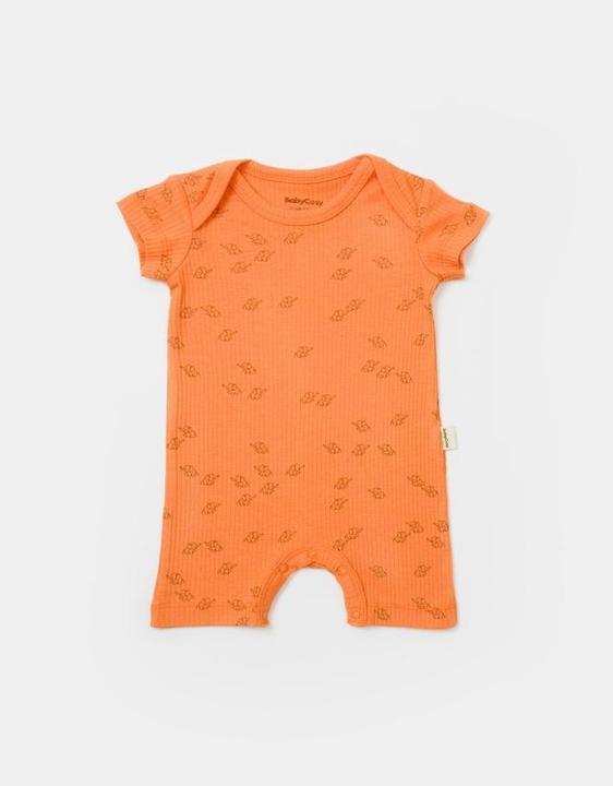 Produktbild BabyCosy Strampler kurze. kurzarm. 2 Pack (80)