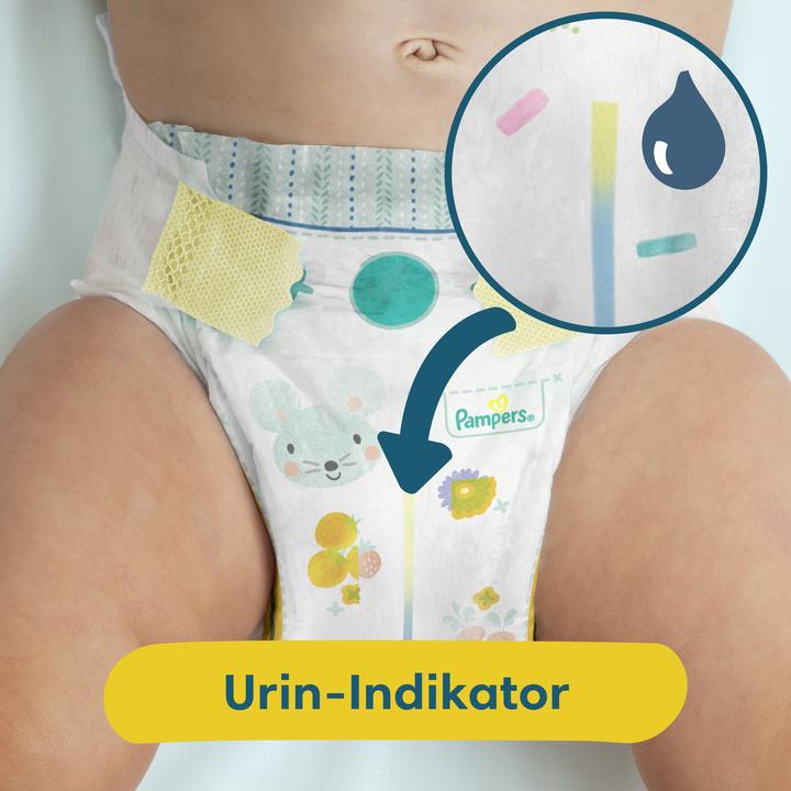 Actual product image Pampers Premium Protection (Size 6, Monthly box, 144 Piece)