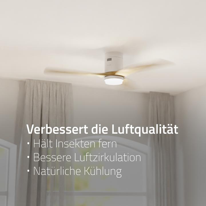 Actual product image Hombli Deckenventilator mit Licht (43 dB)