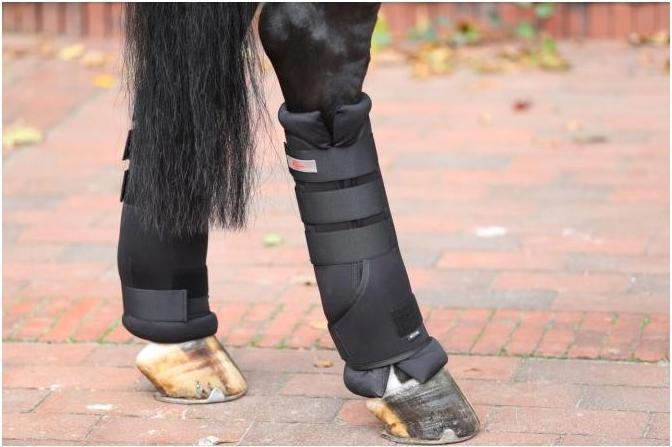 Actual product image Kerbl Transport gaiters