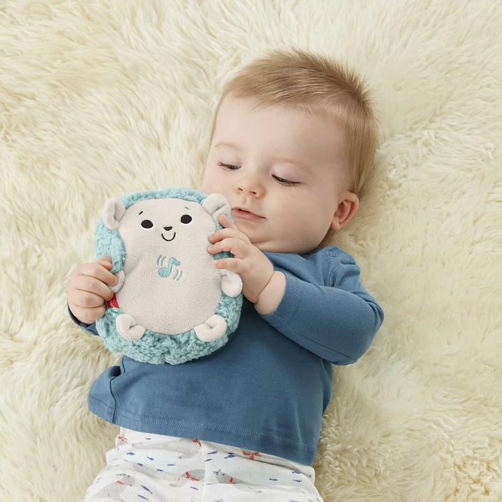 Actual product image Fisher-Price Calming Vibes Hedgehog Soother