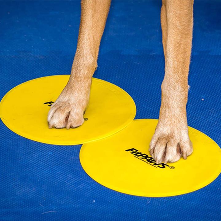 Produktbild FitPaws Target (One Size, Agility)