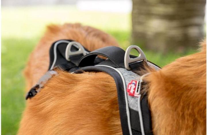 Actual product image Curli Harness Magnetic Belka Comfort (M, Dog, General)