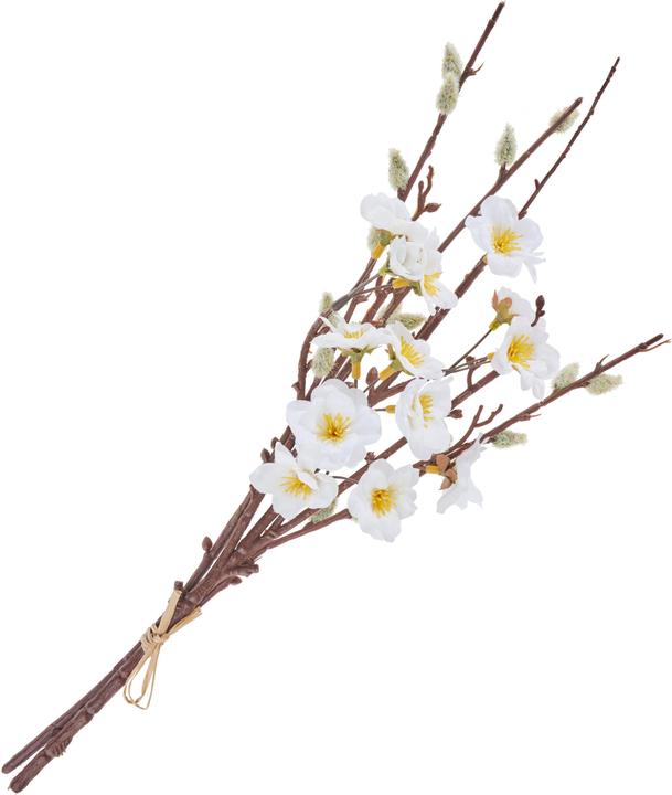 DPI Peach blossom pussy willow bunch