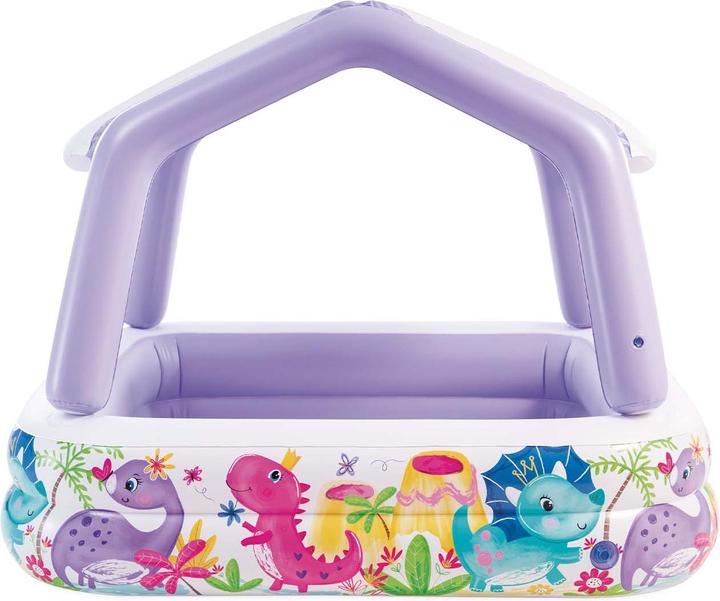 Actual product image Intex Sun Shade