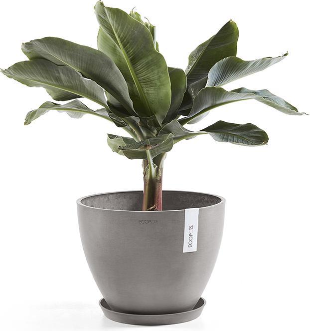 Produktbild Ecopots Saucer Round