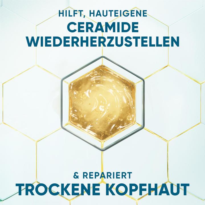 Produktbild Head & Shoulders Dermaxpro (250 ml, Flüssiges Shampoo)