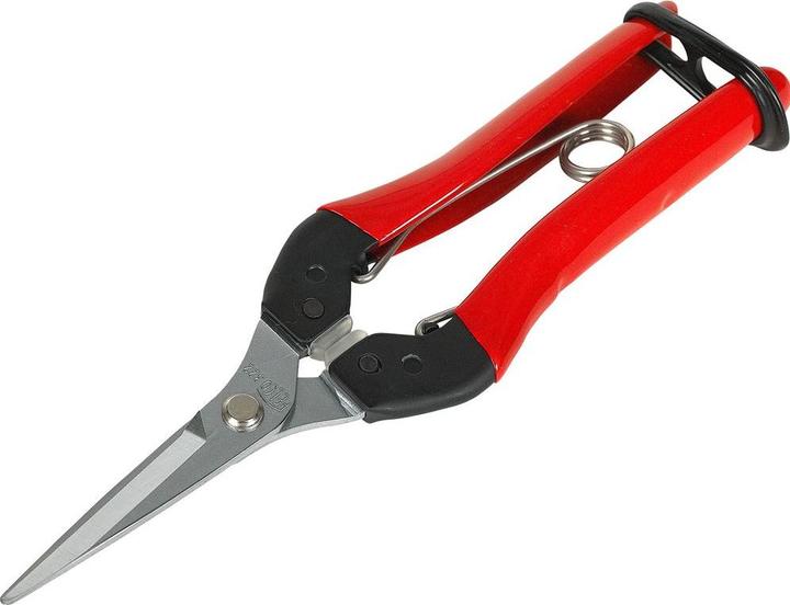 Produktbild Felco Blumenschere