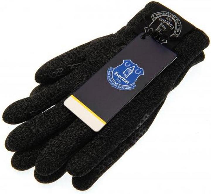 Actual product image Everton FC UTTA5071 P (One size)