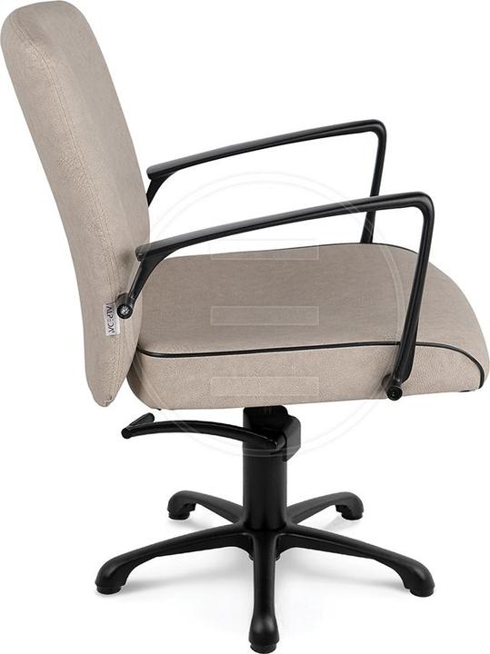 Immagine prodotto Alpeda Icon Black KL Ladies' chairs