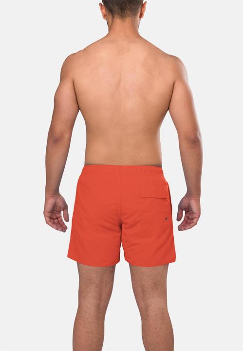 Actual product image Normani Coastline swim shorts (L)