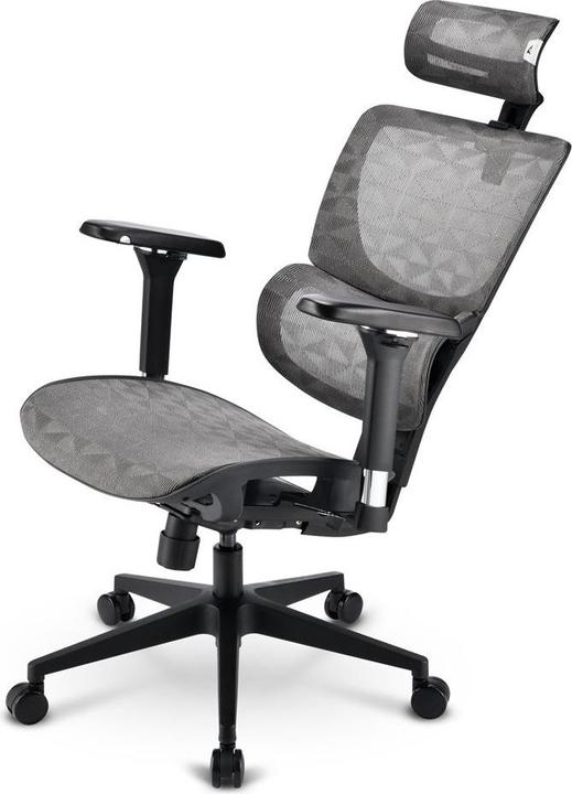 Produktbild Sharkoon OfficePal C40M