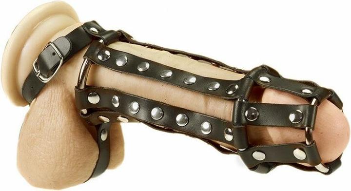 Actual product image Rimba Penis tube with inner spikes, scrotum straps and buckles