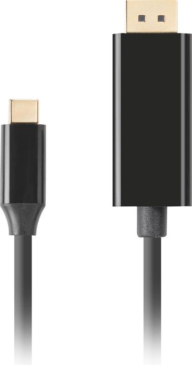 Immagine prodotto Lanberg Cavo da USB-C a DisplayPort, 3 m 4K/60Hz, nero (3 m, DisplayPort)