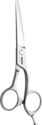 Jaguar HS Xenox (15.24 cm)