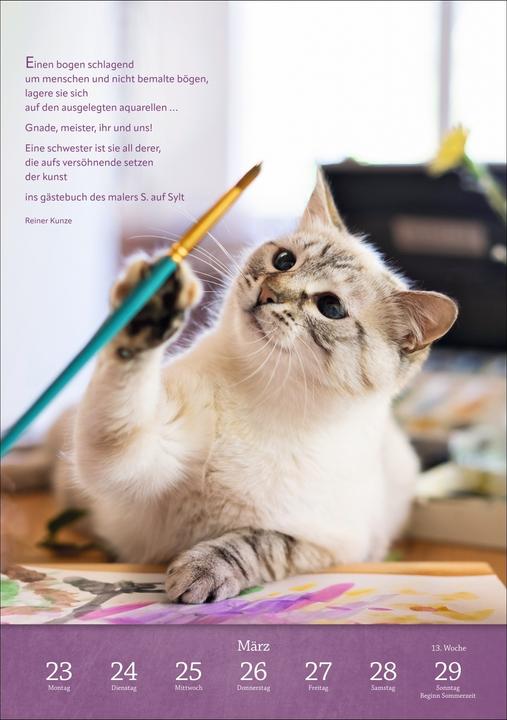 Actual product image Harenberg Literaturkalender Katzen Wochen-Kulturkalender 2026 (German)