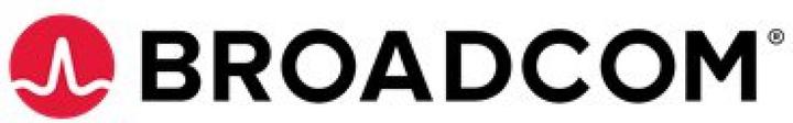 Actual product image Dell BROADCOM 5719 QUAD PORT 1GBE (Mini PCI Express)