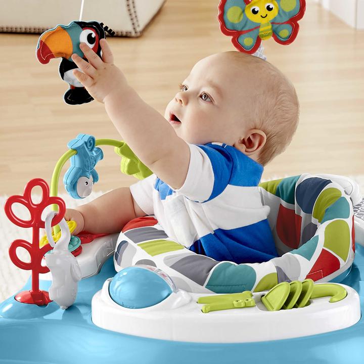 Image du produit Fisher-Price Amis des animaux Jumperoo