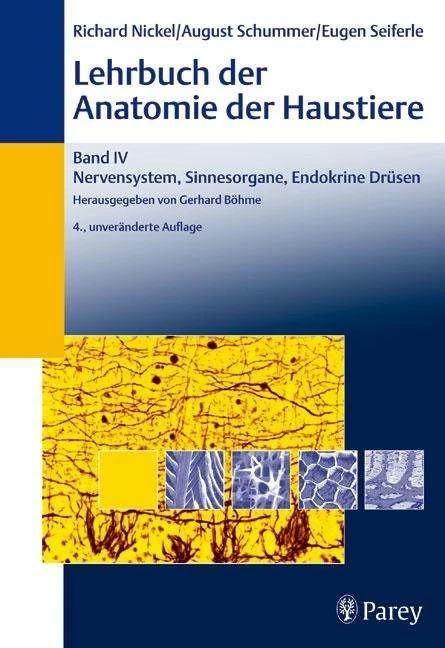 Produktbild Lehrbuch der Anatomie der Haustiere. Bd. 4.: Lehrbuch der Anatomie der Haustiere Band 4 (Deutsch, Eberhard Nickel, 2003)